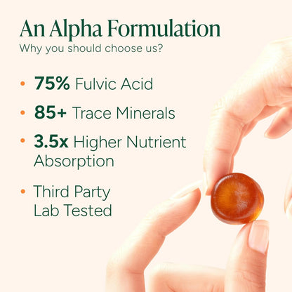 Alpha Gummies 60S+120S
