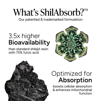 Alpha Gummies 60S+120S